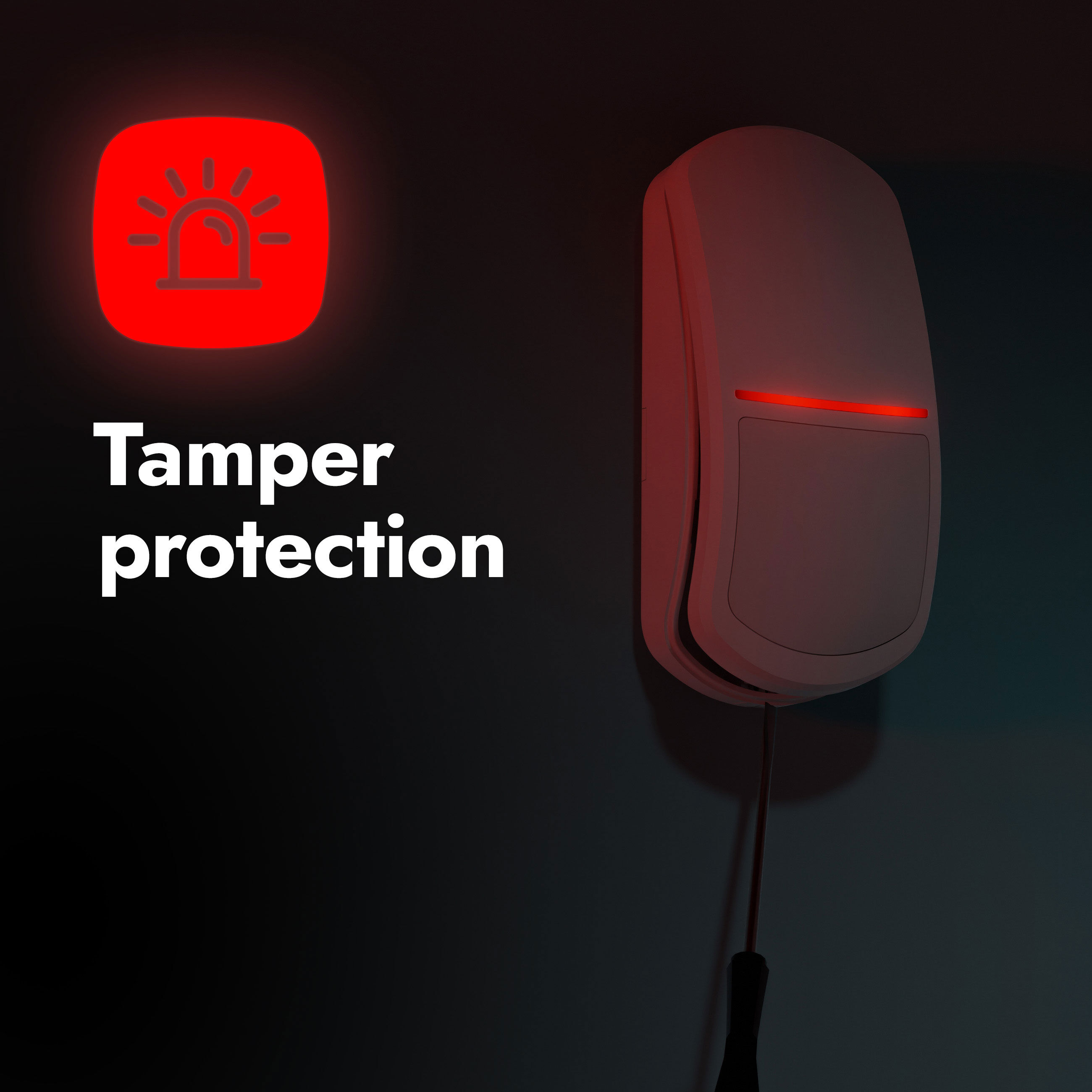 Motion Detector