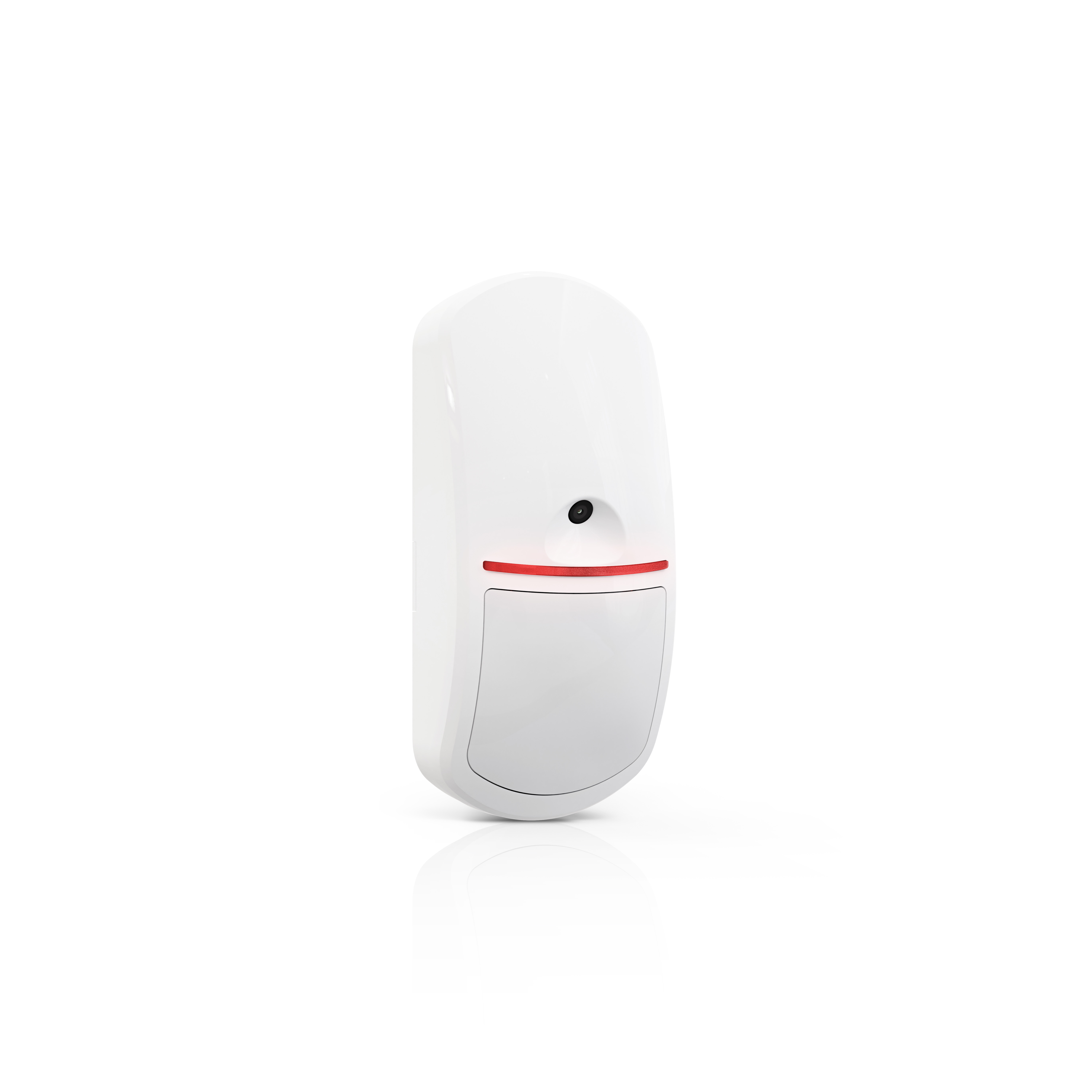 Motion Detector Cam
