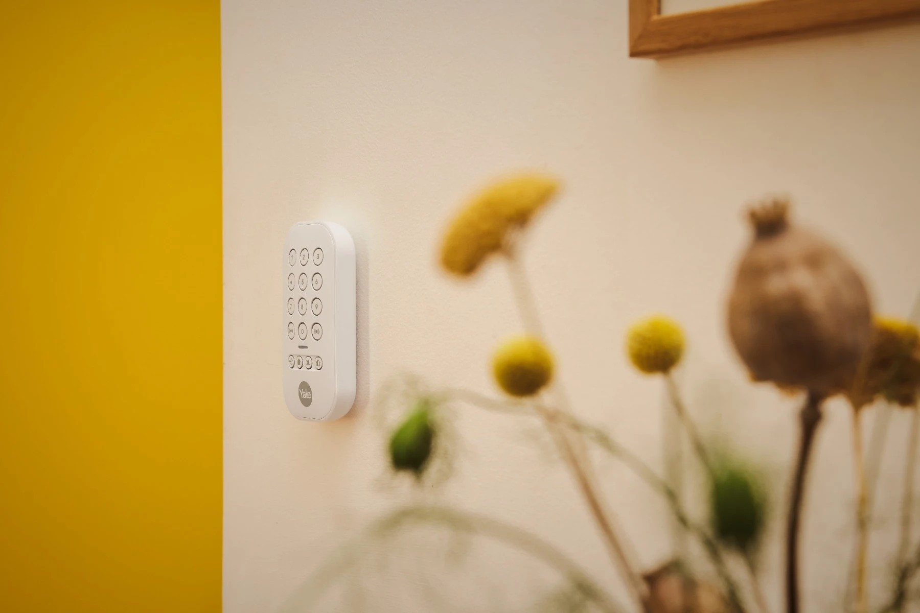 Smart Alarm Keypad - Clavier