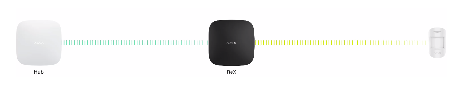 Rex 2