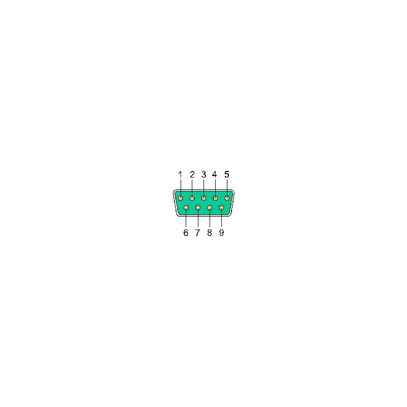 Null-Modem 9PM-9PM