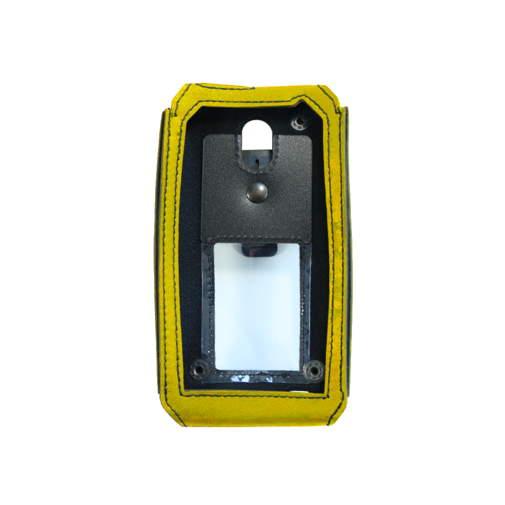 IS655.x Leather Case