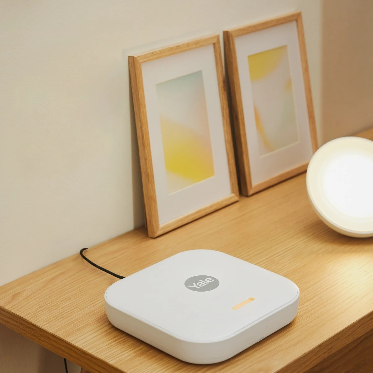 Smart Alarm Starter Kit L